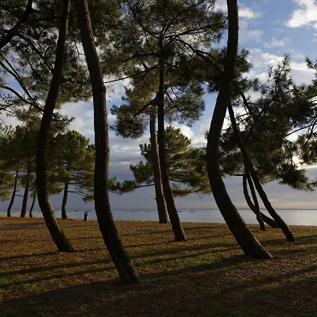 Piscine Et Serenite Pour Votre Sejour A 度假居 *